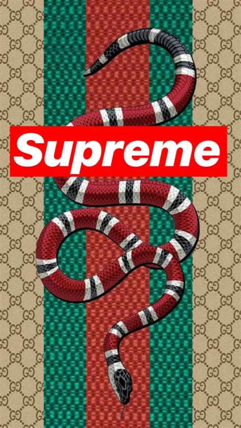 gucci supreme wallpaper